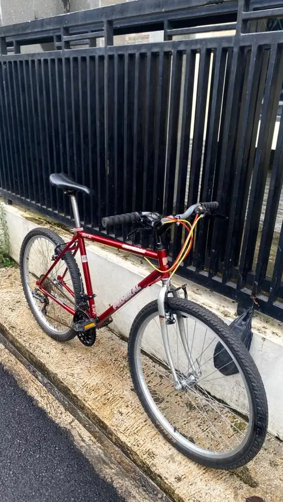 SEPEDA FEDERAL ALLEY CAT MG53SS