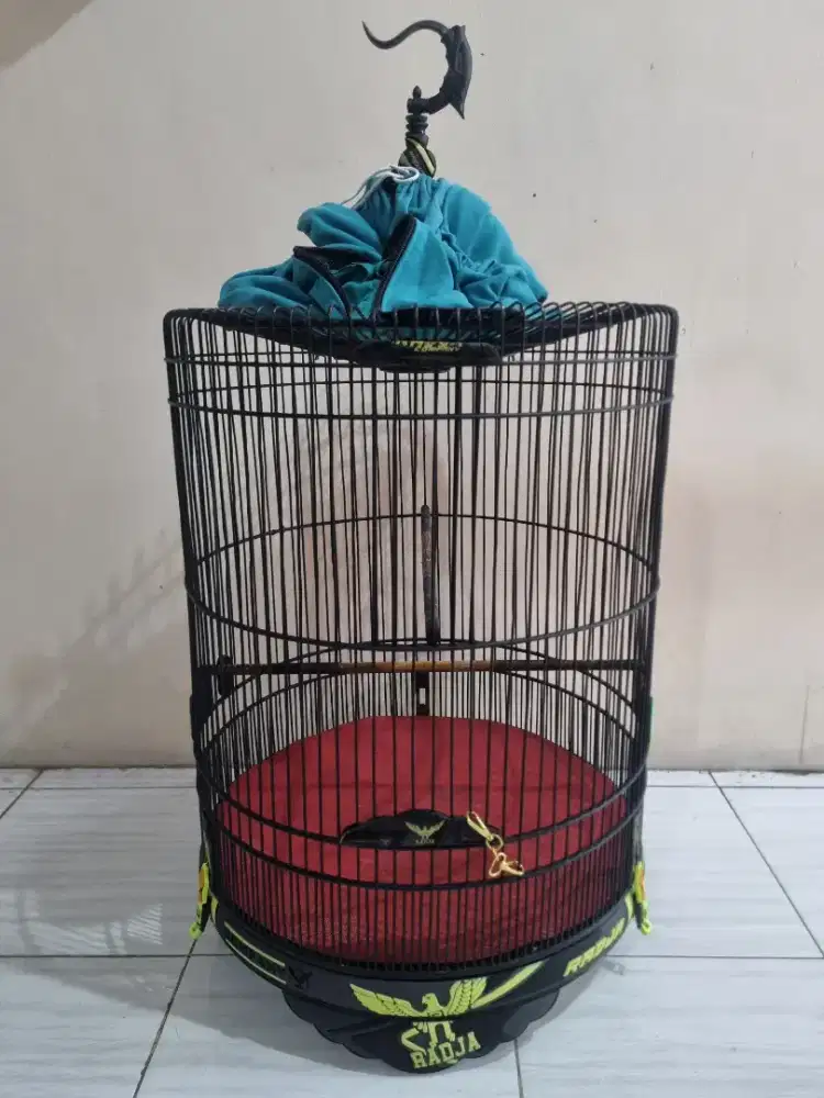 Kandang murai radja carbon 3d