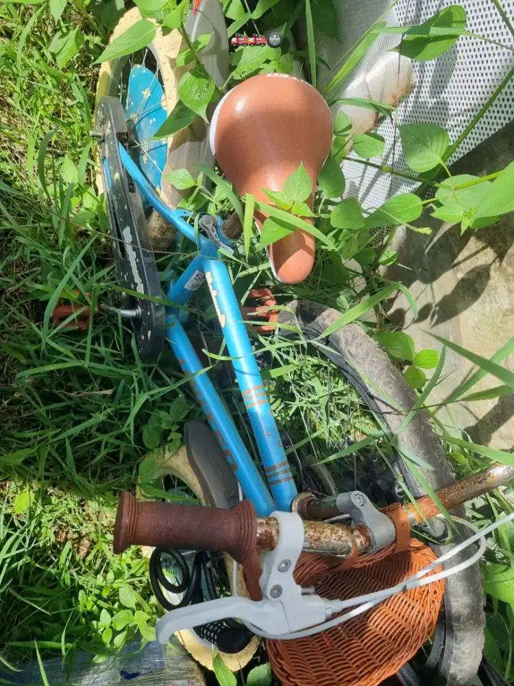 Sepeda Anak United 16 inch Kokuri