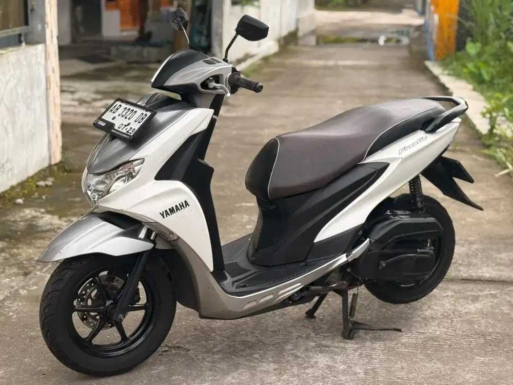 Frego 2019 ab on bagus