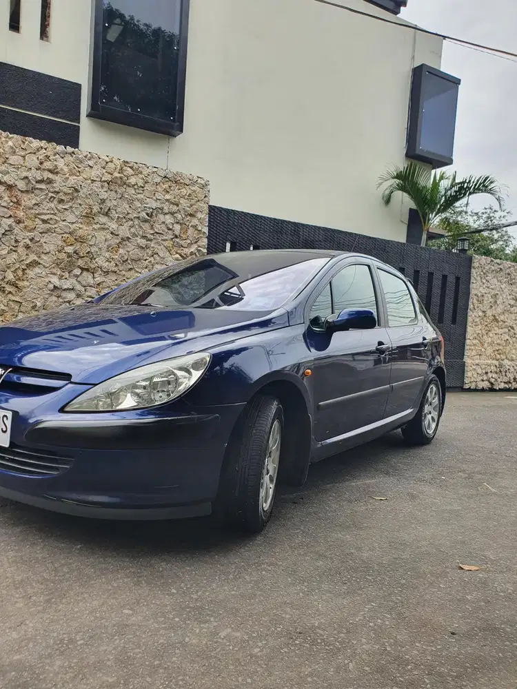 Peugeot 307 2002 Bensin