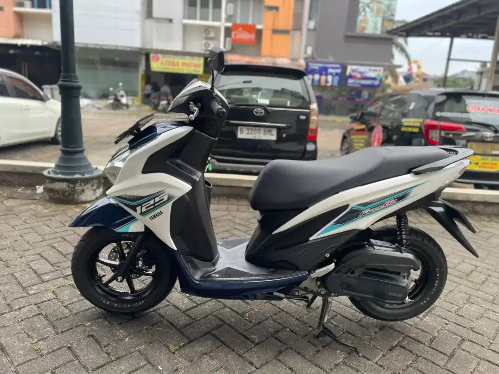 Freego 2025 Pajak Panjang