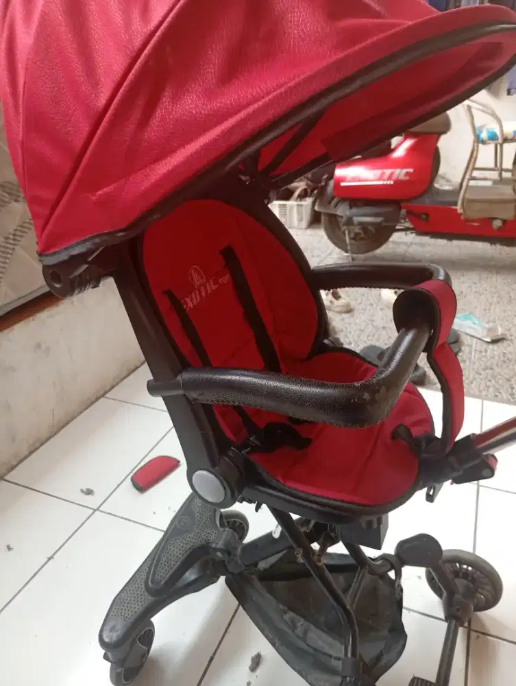 Stroller exotic