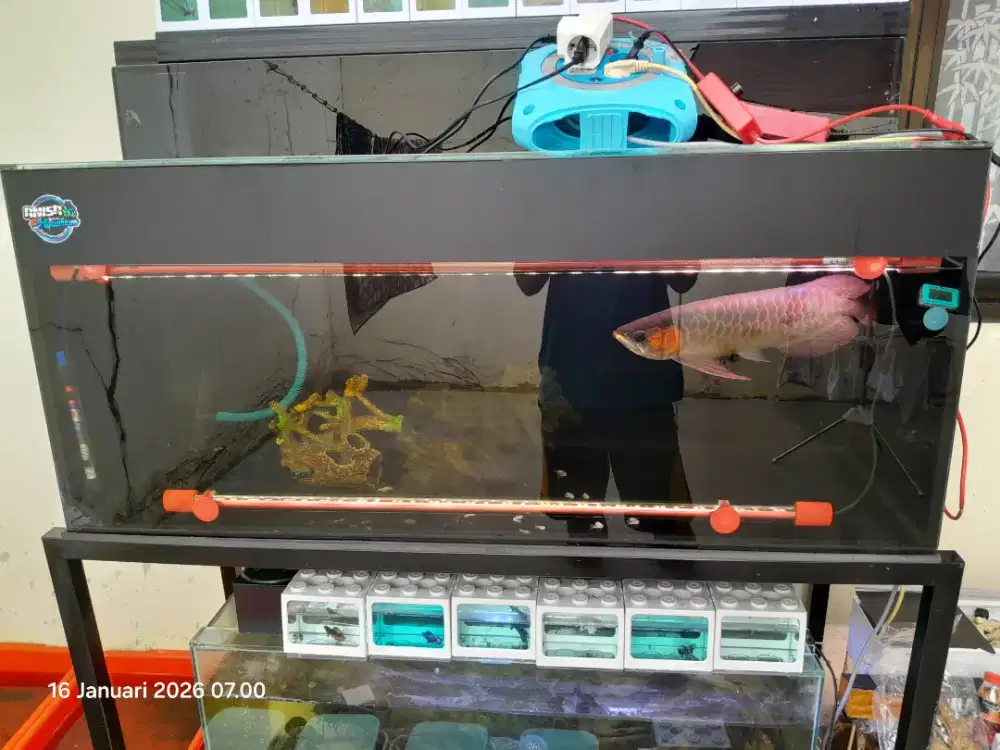 AQUARIUM KACA + RANGKA BESI