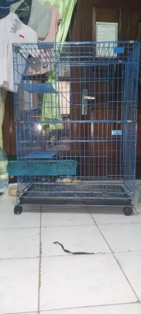 kandang kucing 3 tingkat