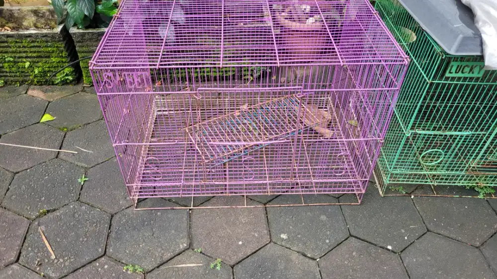 Kandang Hewan kucing anjing burung marmut