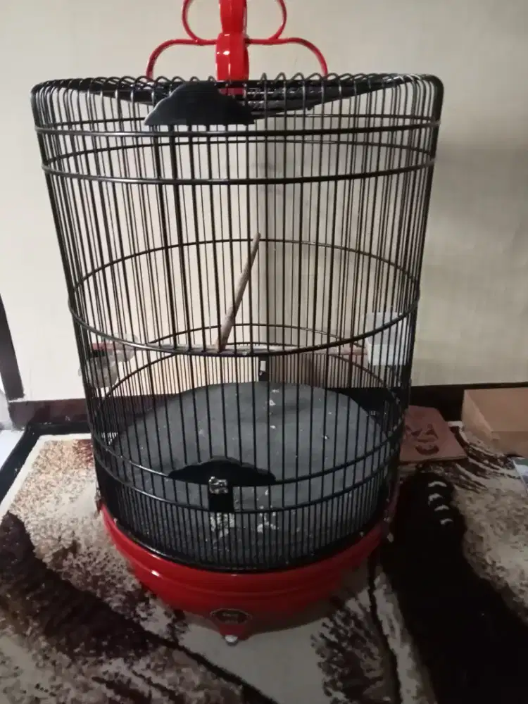 Kurung murai Ebod Jaya