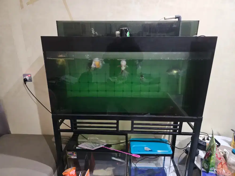 Dijual aquarium murah