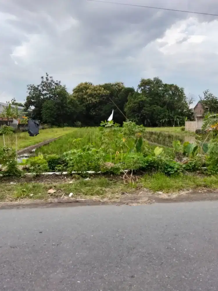 Disewakan tanah cocok untuk villa resto bisa 20 tahun di Maguwoharjo