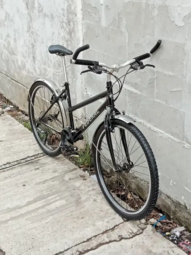 Sepeda vintage frame lady