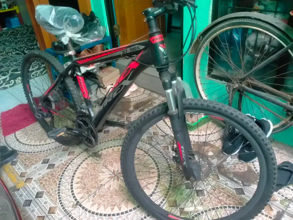 Sepeda Gunung T-rex original