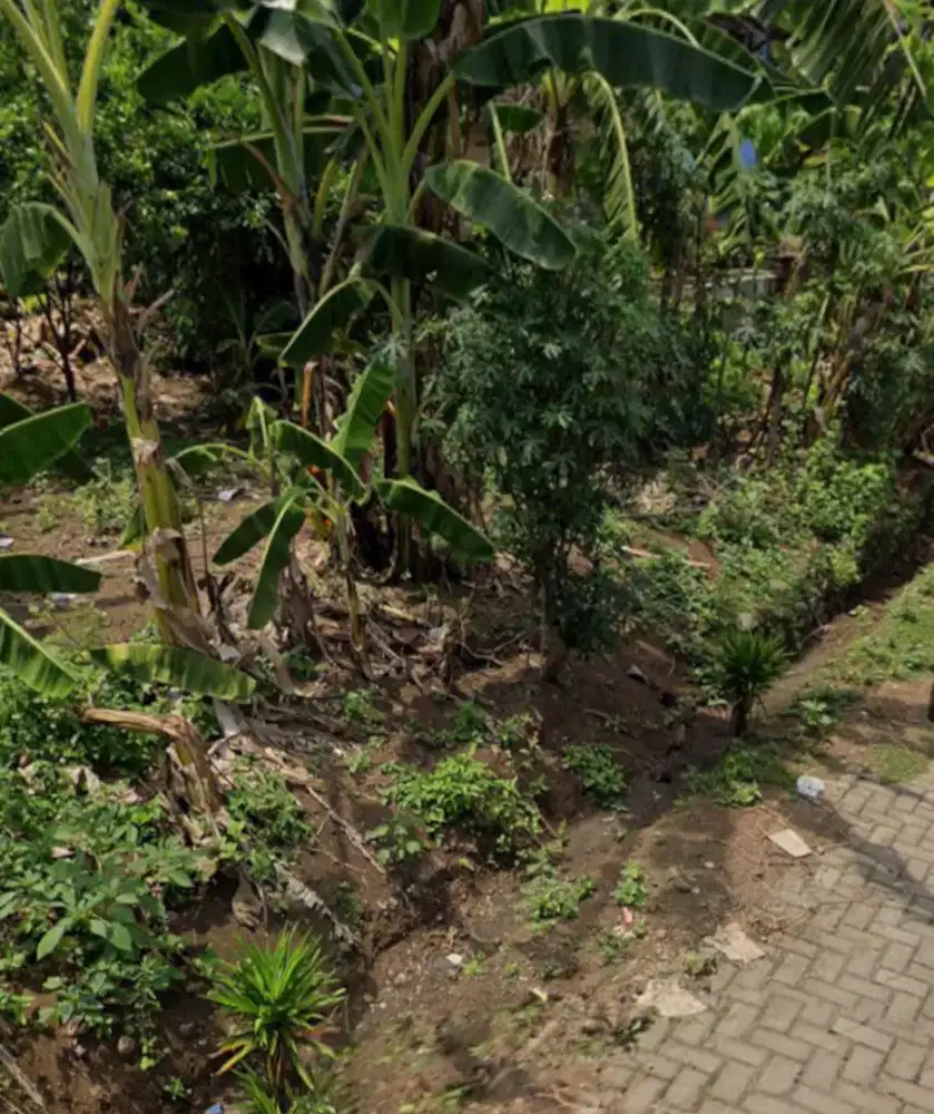 TANAH SIAP BANGUN GUNUNG TALANG BENDAN DUWUR GAJAHMUNGKUR