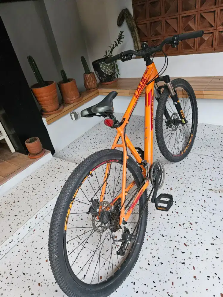 Sepeda gunung Polygon