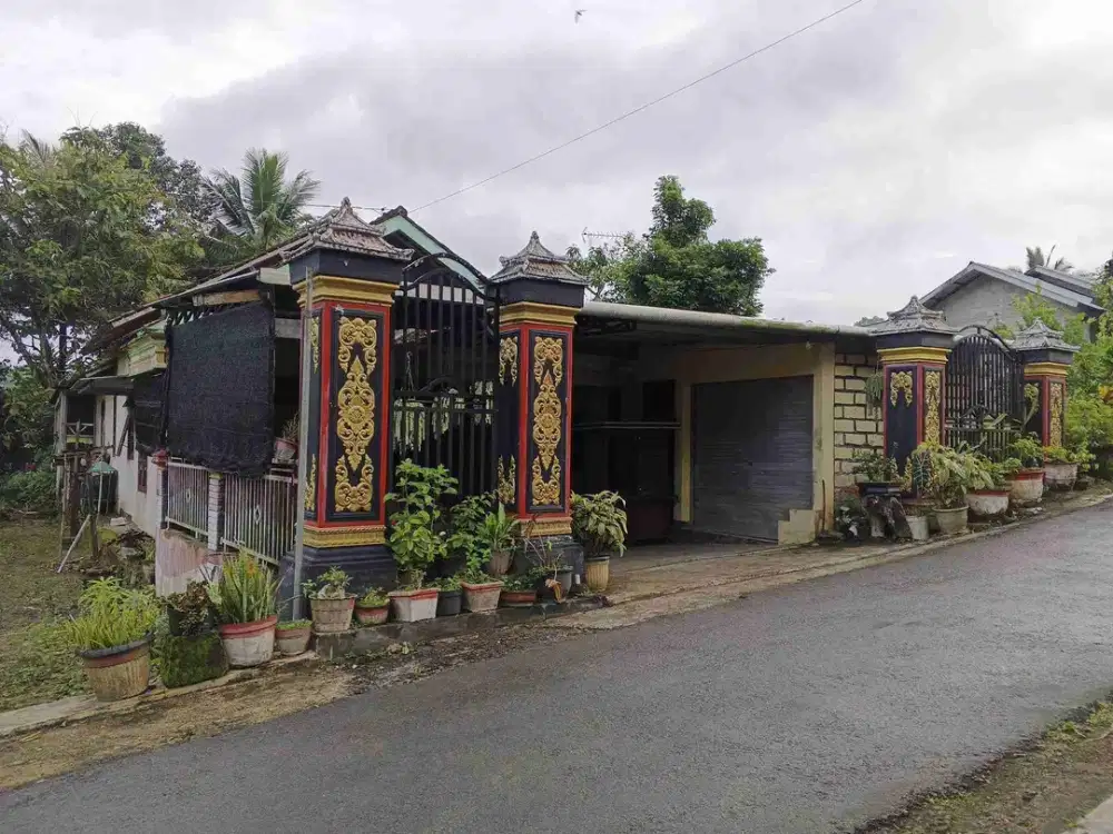 Jual Cepat Rumah tepi jln Aspal bisa utk Usaha di Punung, Pacitan Jawa Timur