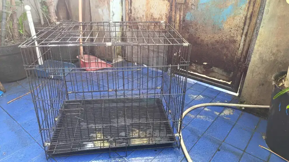 di jual kandang anjing ukuran sedang