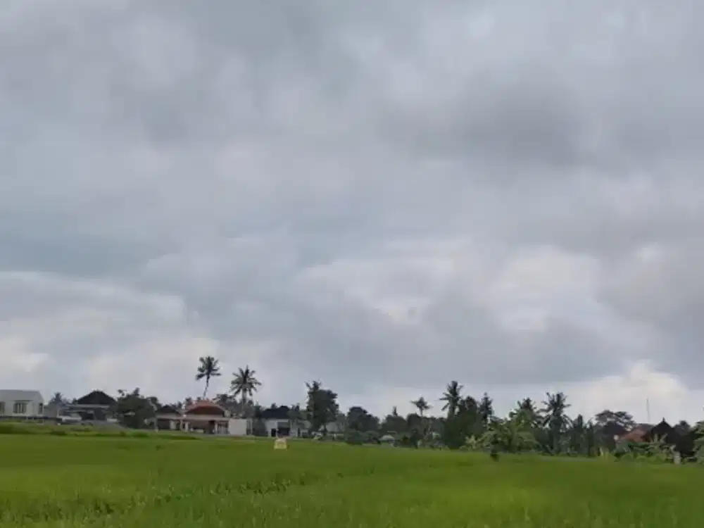 KAVLING 200 M2 DENGAN VIEW RIVER DI UBUD