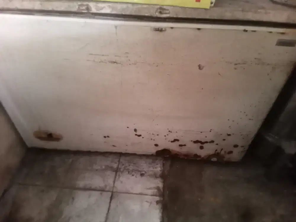 Freezer Box Electrolux Besar & Dingin