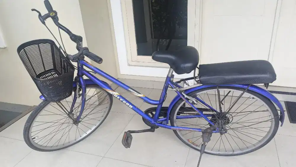 Polygon Lady Sierra 26 Orisinil