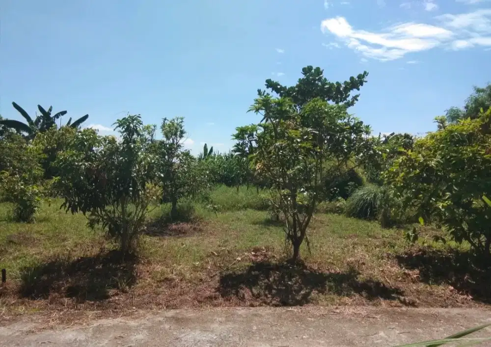 Di jual Tanah kosong sudah daratan