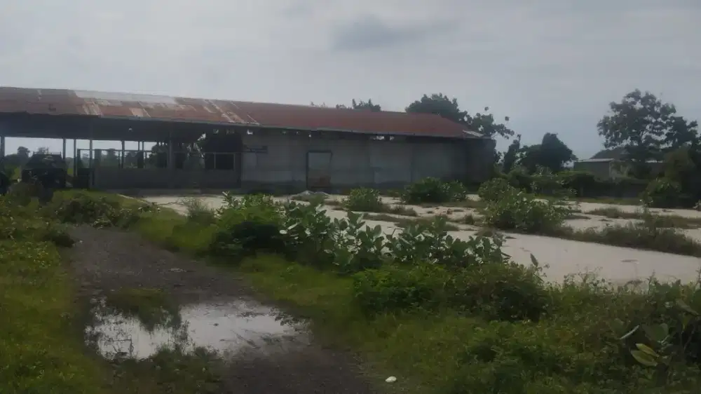 Jual CEPAT Tanah Seleb 4100 Meter²