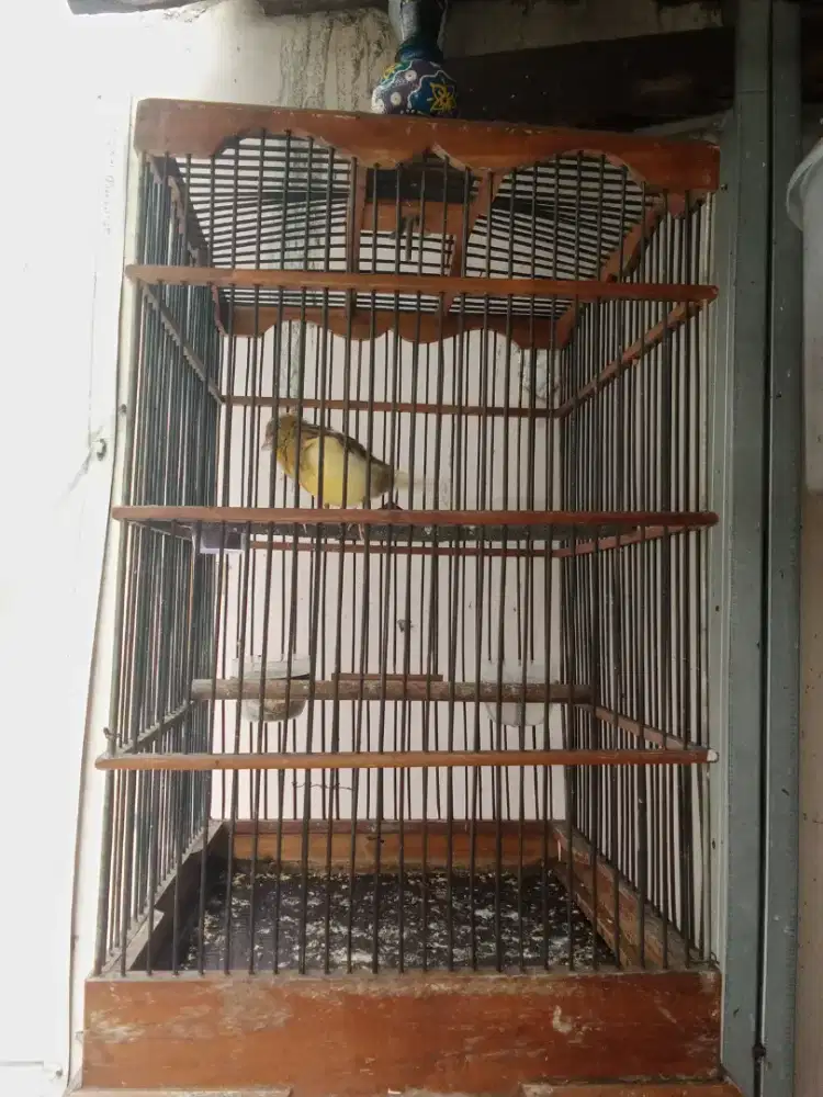 Sangkar kotak ukuran No 4