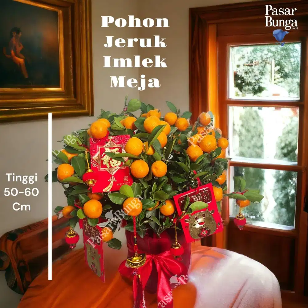 Pohon jeruk Imlek meja