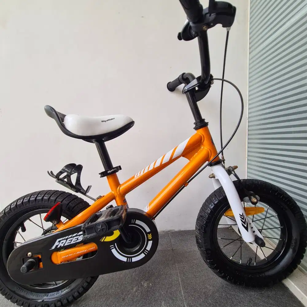 Sepeda Anak Roda 2 Roda 4 Merek Royal Baby Freestyle Kondisi 95%