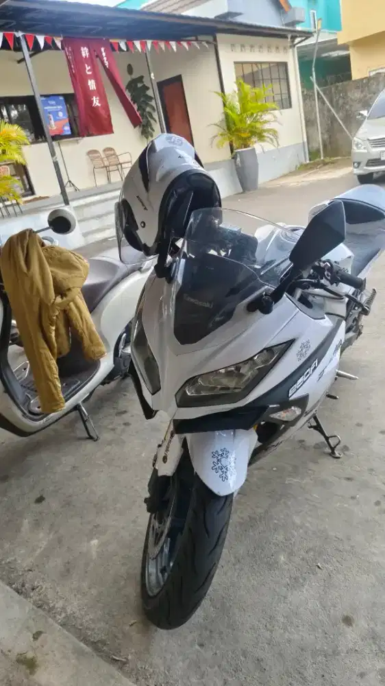Kawasaki ninja 250 fi 2013