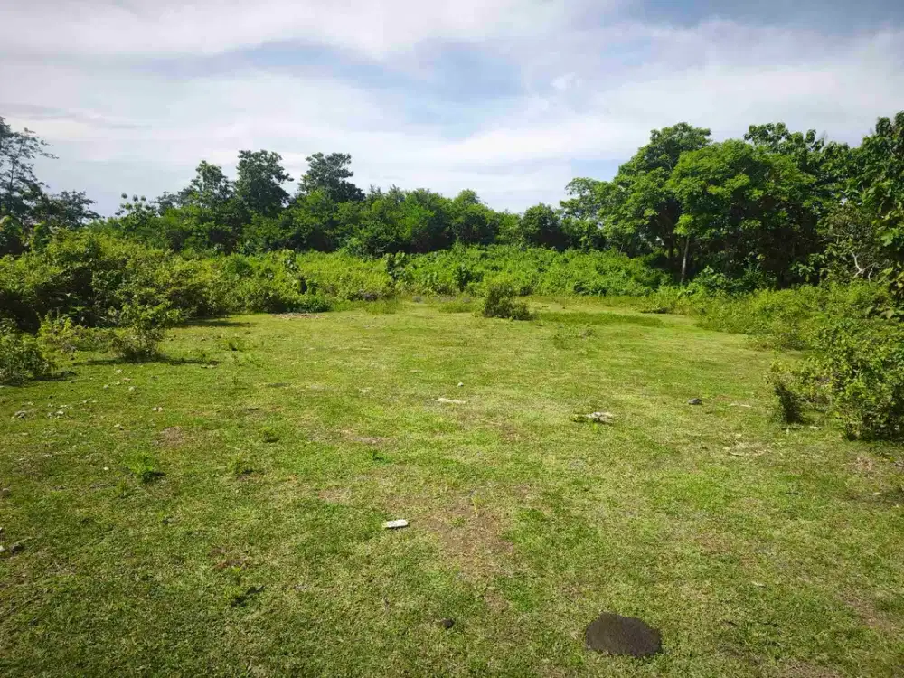 dijual tanah global 1,34 hektar IDR 290 juta /are Kawasan GWK ungasan Kuta Selatan Badung Bali