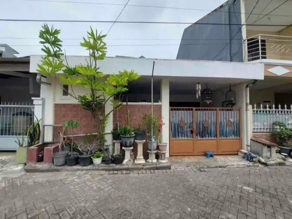 Murah Rumah 1 Lantai di Taman Pondok Indah Wiyung, Surabaya Barat