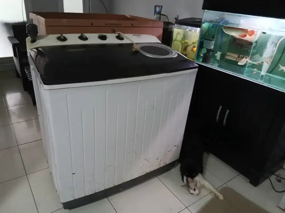 Mesin cuci 2 tabung merk Elektrolux 12kg