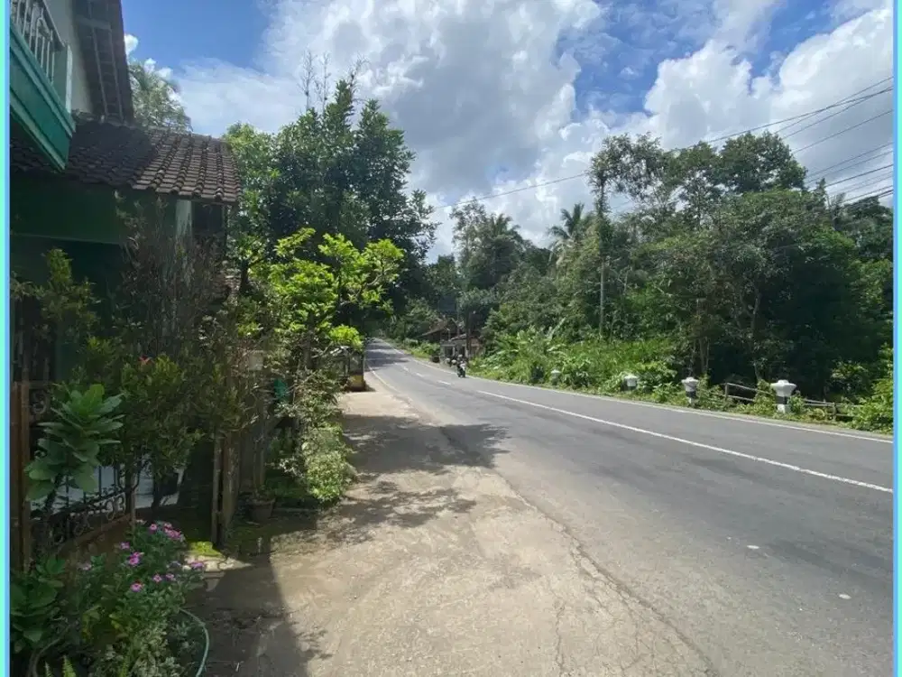 TANAH DEKAT BOROBUDUR DI JOGJA AREA KALIBAWANG KULONPROGO 900 RIBUAN SAJA