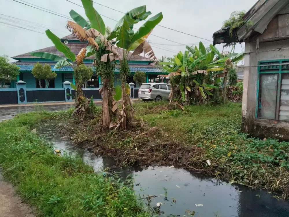 Dijual cepat murah saja