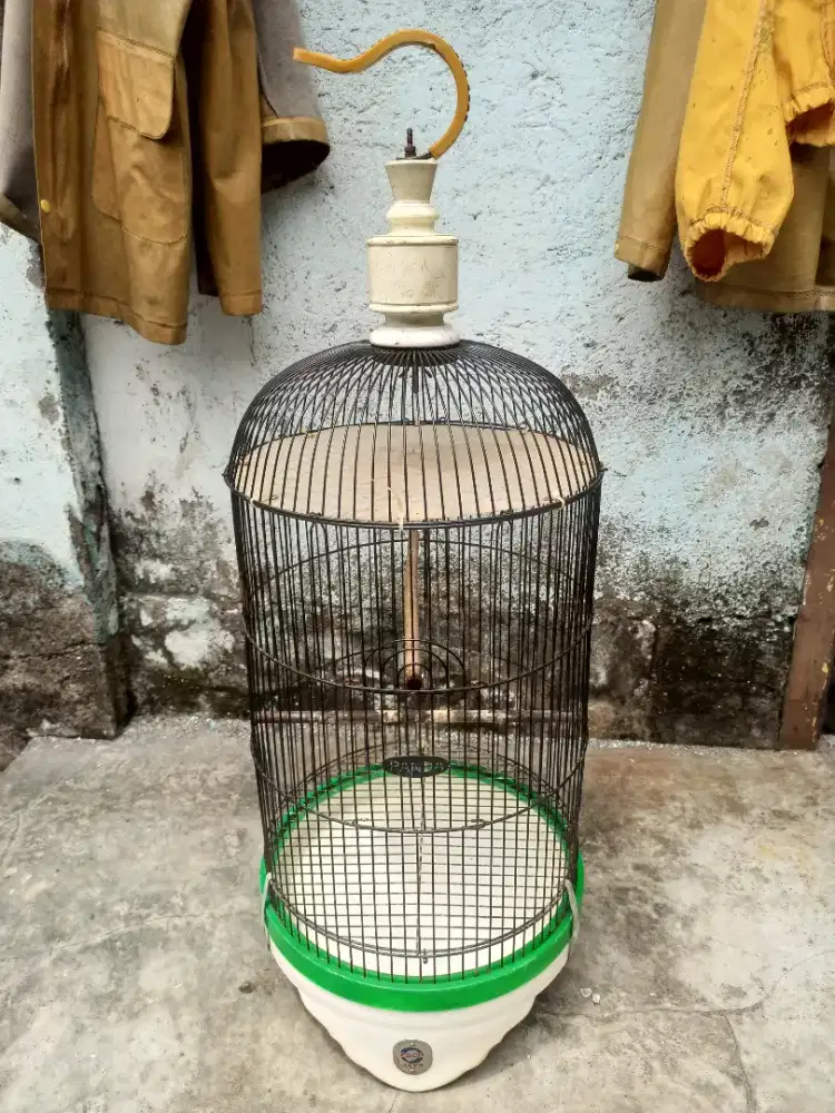 Sangkar Ebod Jaya Love Bird