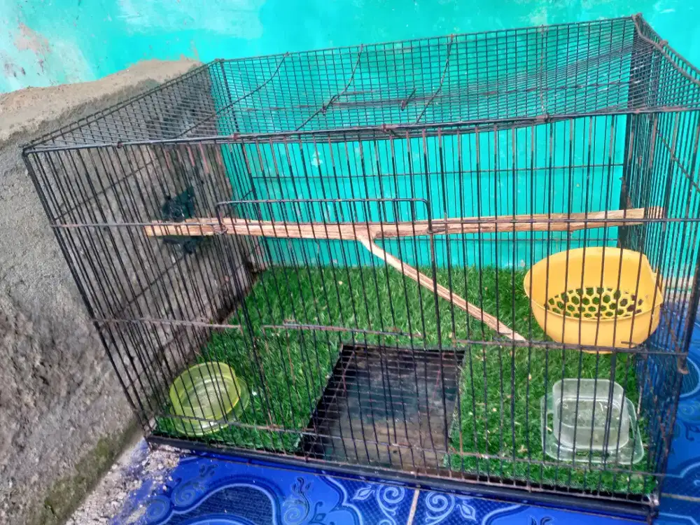 Kandang Kucing/Tupai/Kelinci