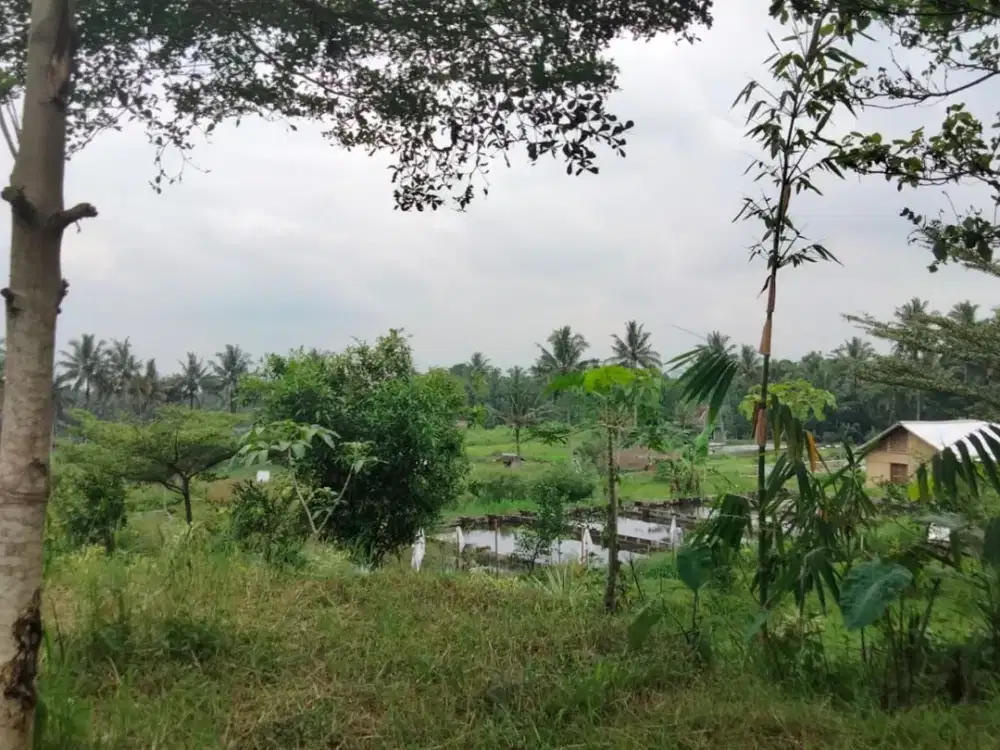 Tanah Pekarangan di Jl kaliurang km 18, pakem sleman Yogyakarta.