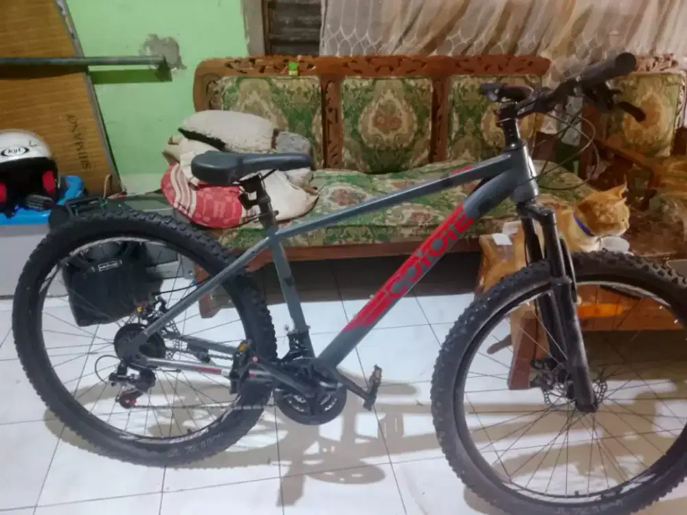 Sepeda baru jual harga bekas