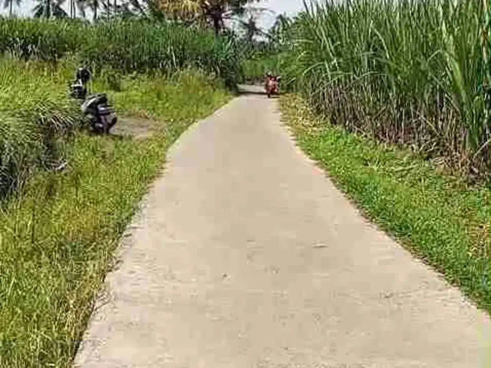 TANAH LOKASI TUREN BOKOR PAGEDANGAN MALANG
