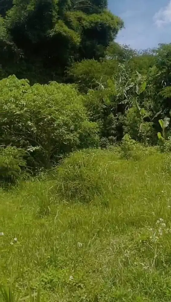 Cipageran Cimahi Dijual tanah dibawah harga pasar dekat jalan raya