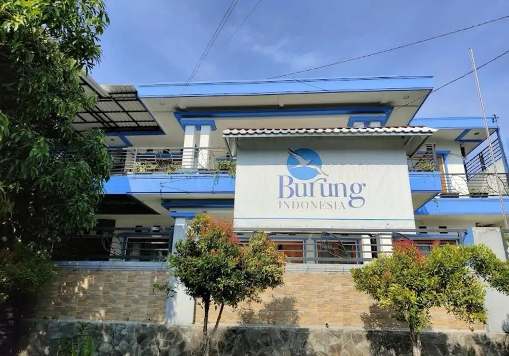 DIBUTUHKAN ADMIN KANTOR