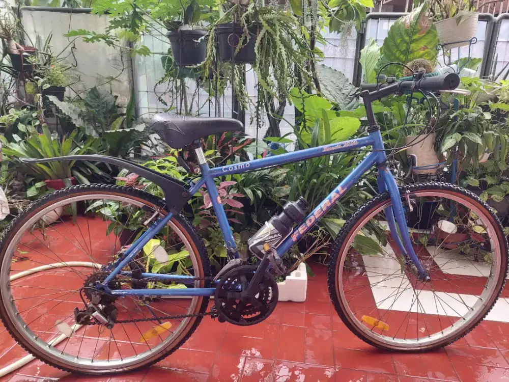Sepeda Federal Cosmo 2000