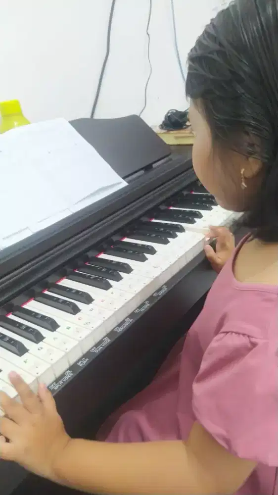 Les Keyboard dan Piano dari Rumah ke Rumah