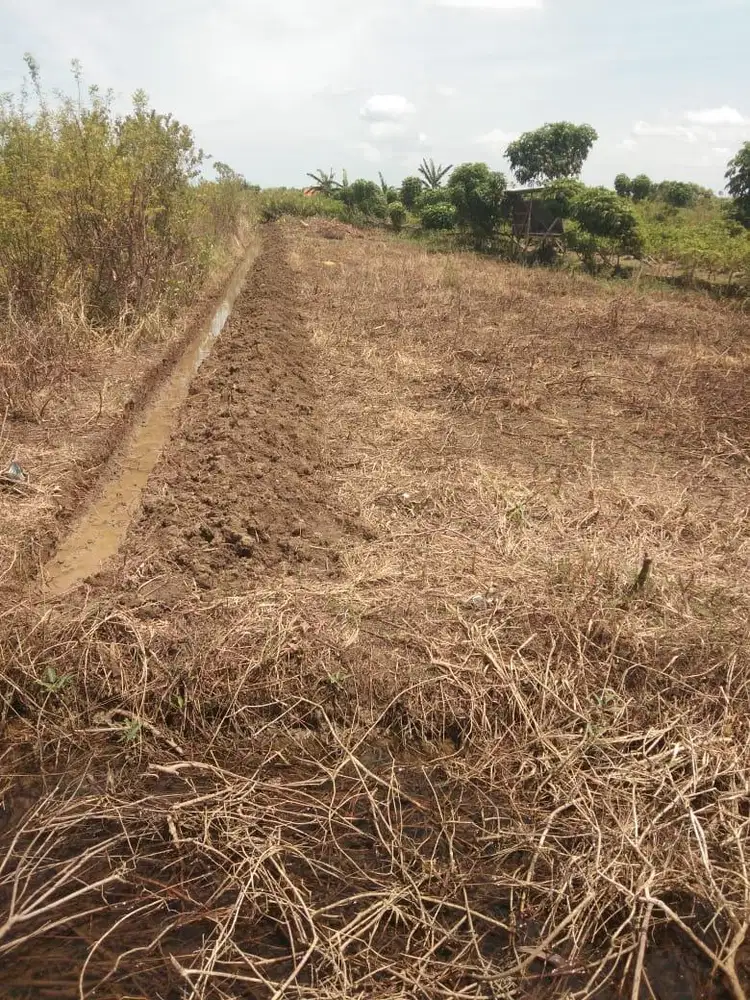 Jual Tanah SHM 620 m2