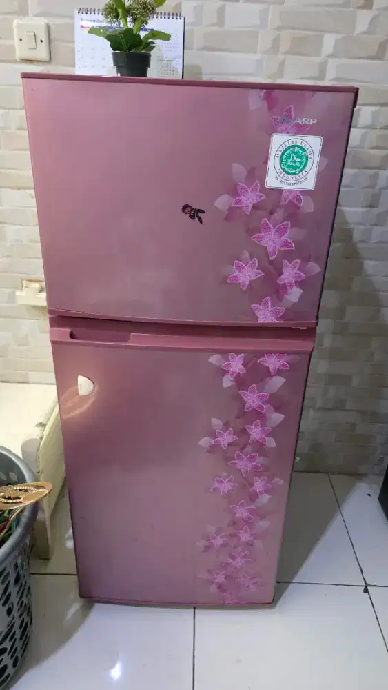 Kulkas Sharp 2 pintu