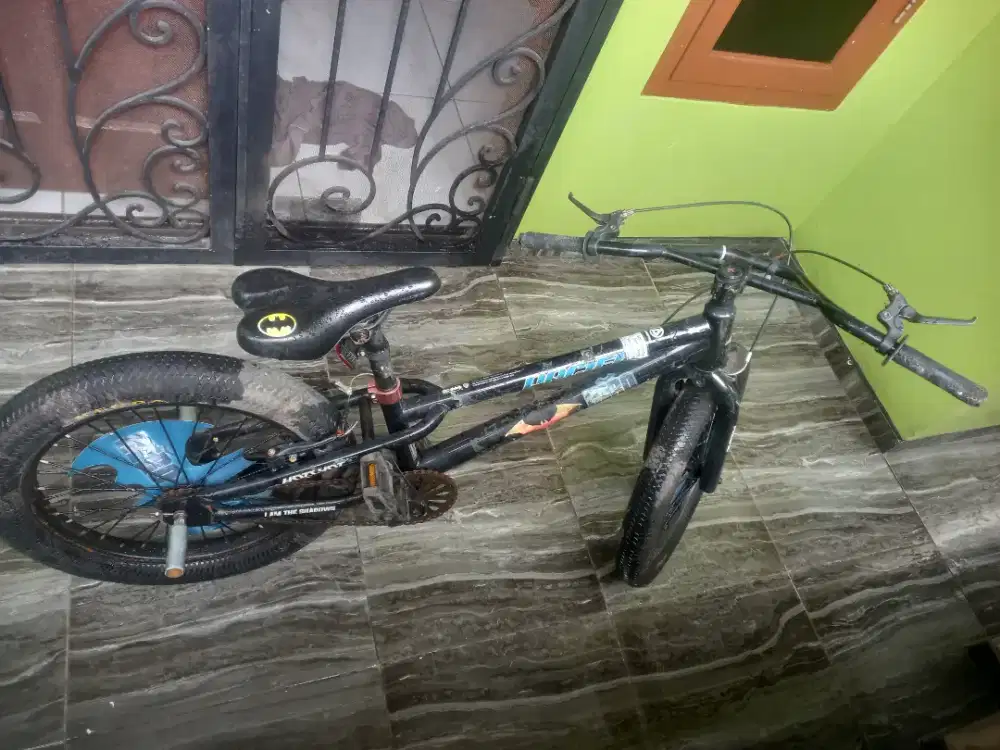 Sepeda anak Pacific 20 inc