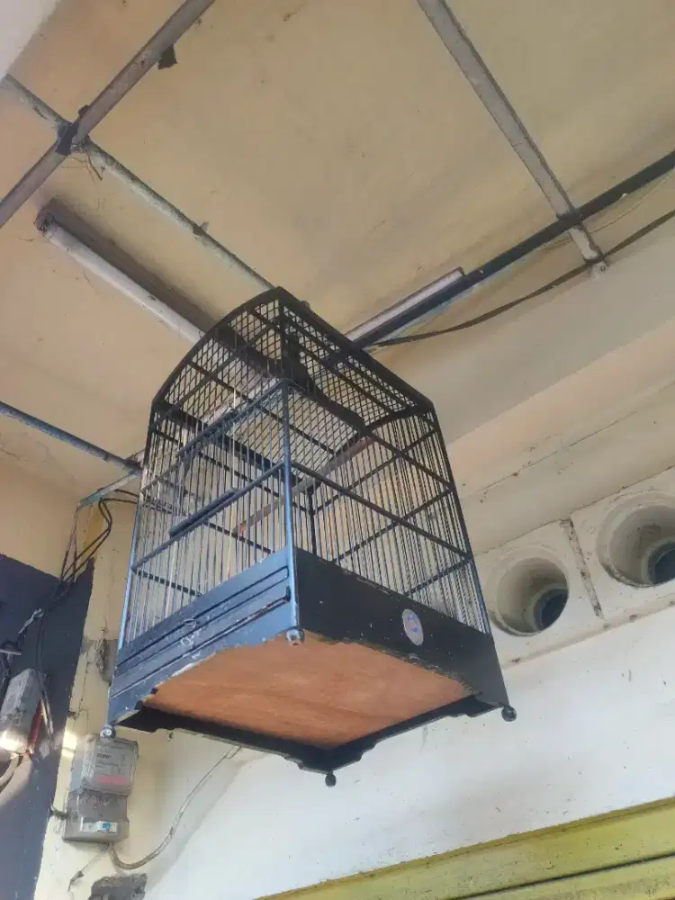 Sangkar burung petak