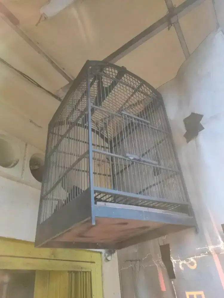 Sangkar burung petak