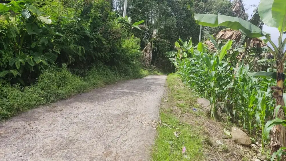 Dijual cepat untuk bisnis atau menikmati masa tua