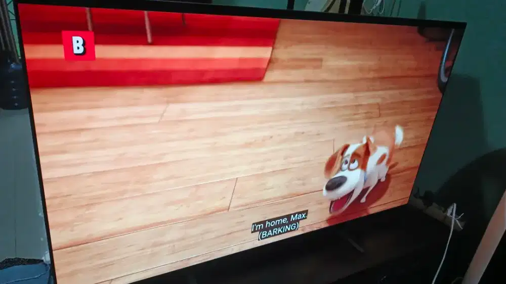 Sony bravia 8 Oled tv