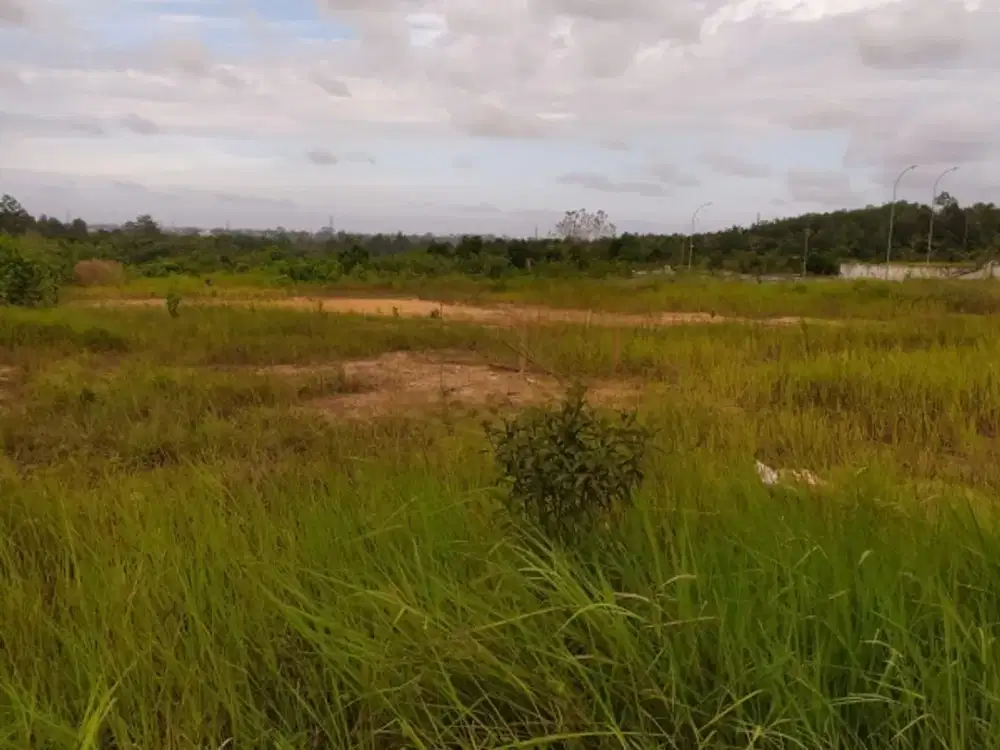 Tanah Industri Pulau Balang Balikpapan Dekat Pelabuhan dan Tol ke IKN